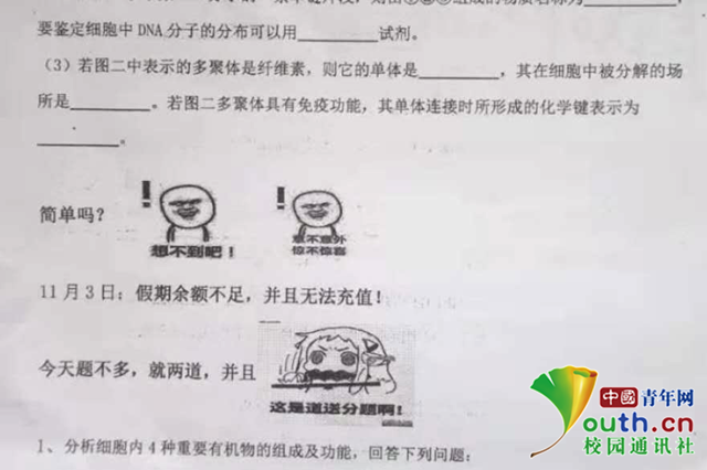 图为表情包试卷。中国青年网通讯员 程艺 供图