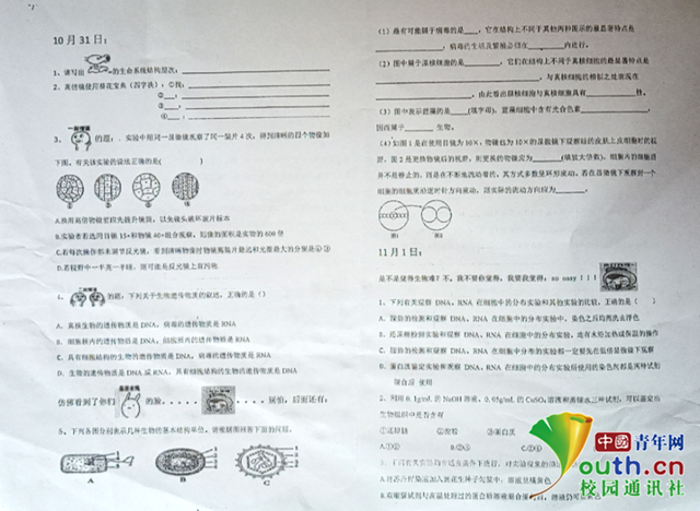 图为表情包试卷。中国青年网通讯员 程艺 供图